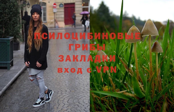 тгк Балахна