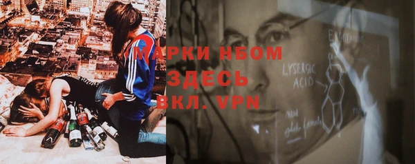 стафф Аркадак